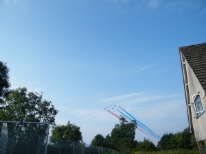 redarrowsovercatsashkennels